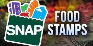 SNAP Food stamps logo